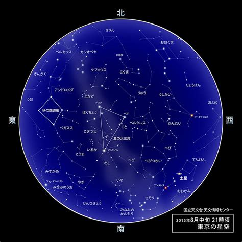 8月10號什麼星座|8月10日生日書（獅子座）